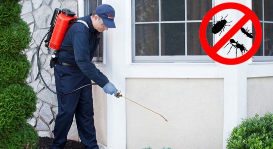Yakutiye Fare İlaçlama böcek ilaçlama ve haşere kontrolü — ilaclama-tr.com